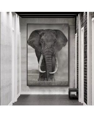 African Wild Elephant Canvas Art
