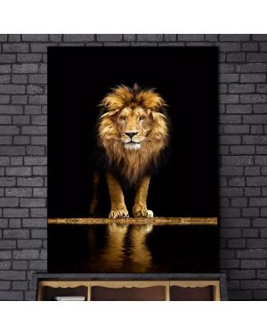 Lion in the Dark Canvas Art Poster